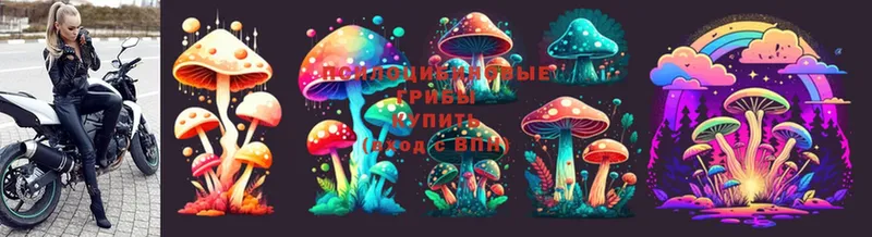 Псилоцибиновые грибы MAGIC MUSHROOMS  Бахчисарай 